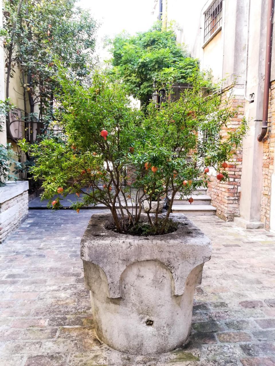Appartamento Corte Bragadin เวนิส ภายนอก รูปภาพ